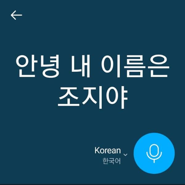 Korean Conversation Translation With Papago