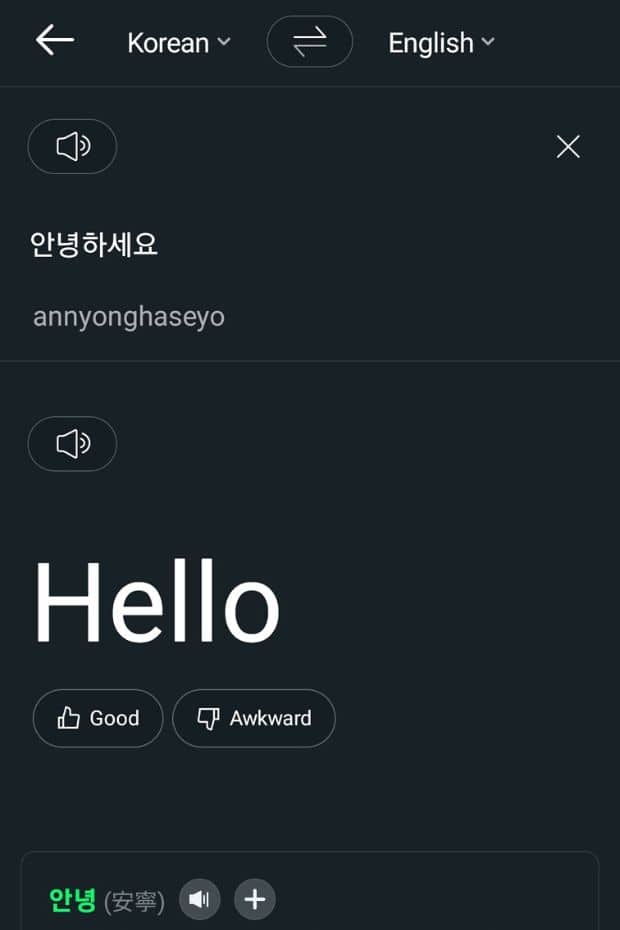 Papago Translation from Korean into English