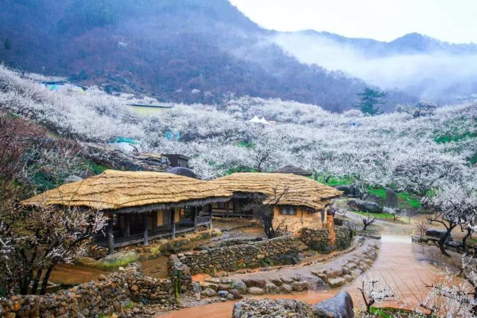Rural Korean Scene