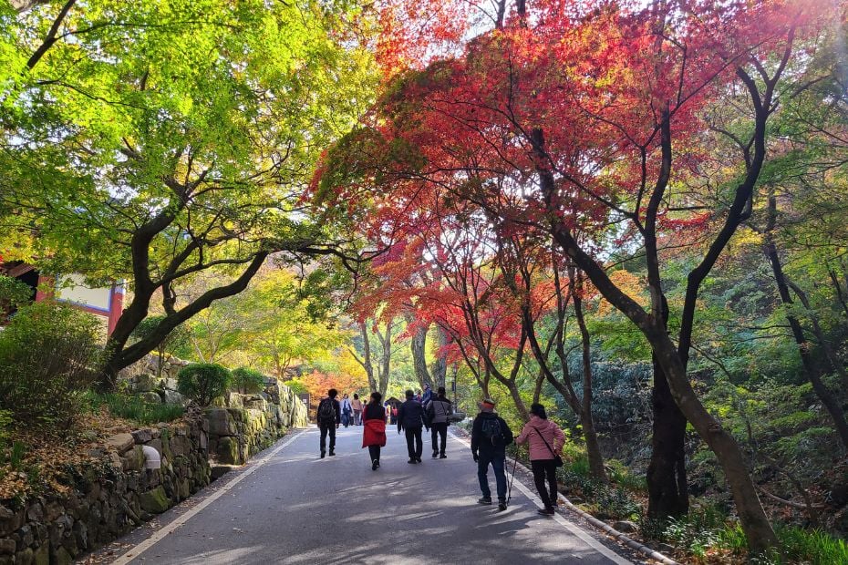Autumn foliage in Korea (1)