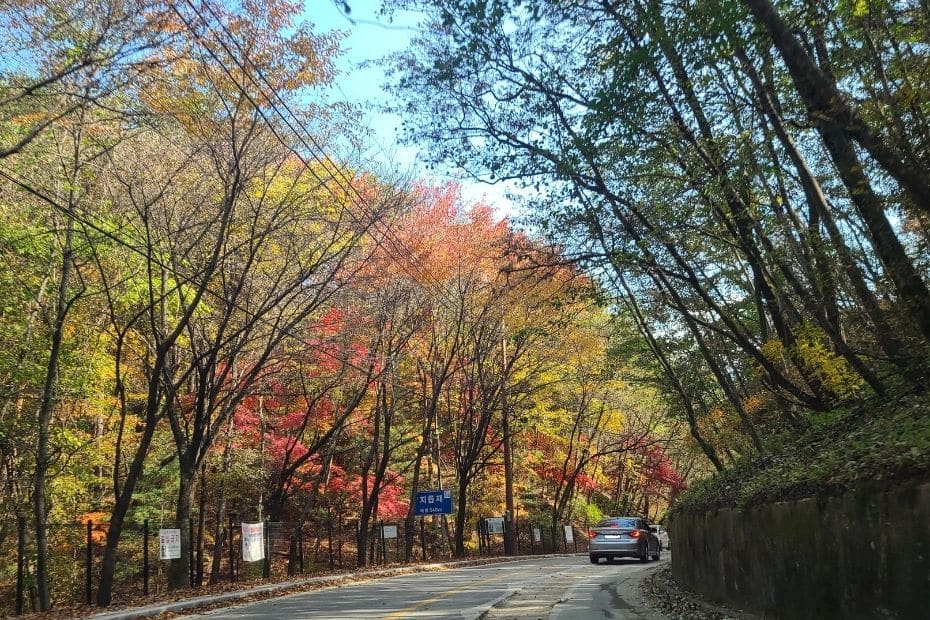 Car driving on a road in Korea