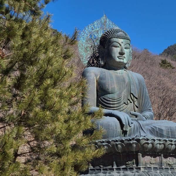 Giant Bronze Buddha In Seoraksan National Park