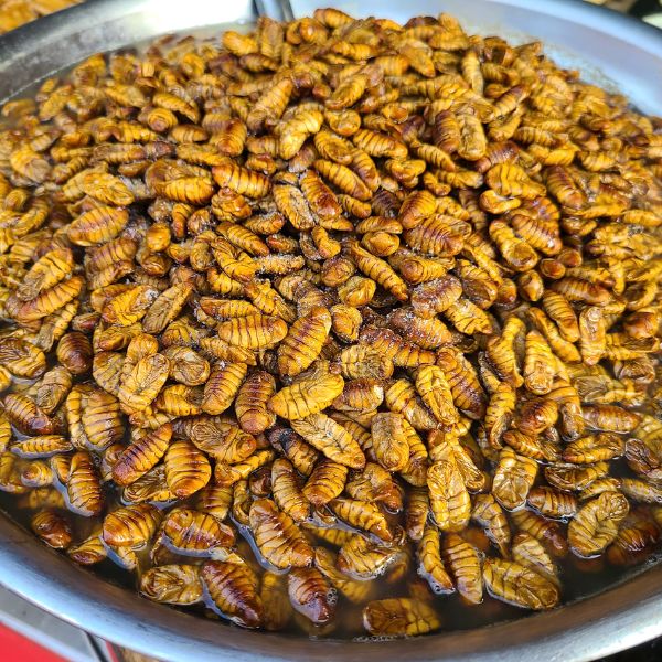 Korean Beondegi Silkworm Pupae Snack