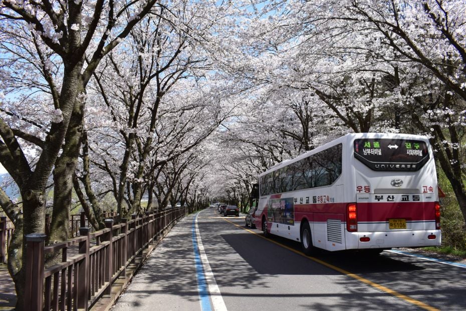 Korean intercity bus
