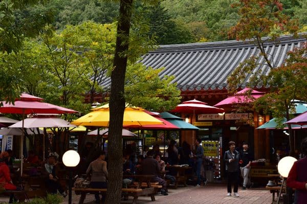 What to eat at Seoraksan National Park