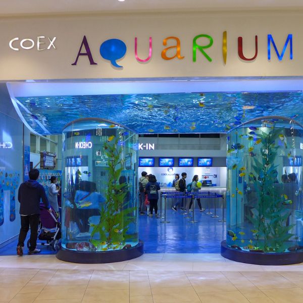 Coex Aquarium Seoul