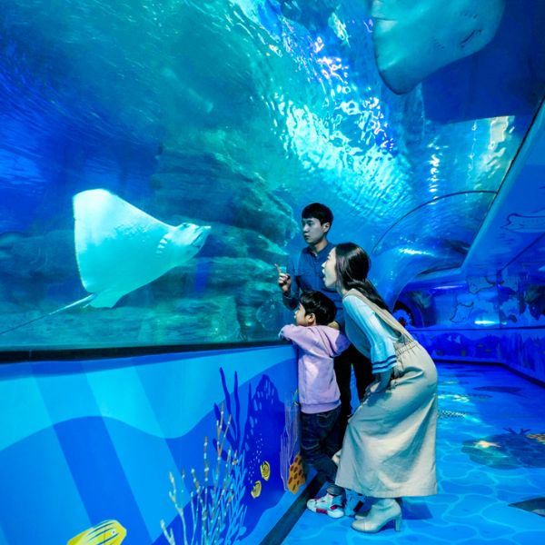 Busan Sea Life Centre