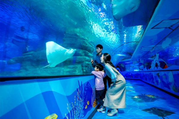 Fun indoor activities in Busan