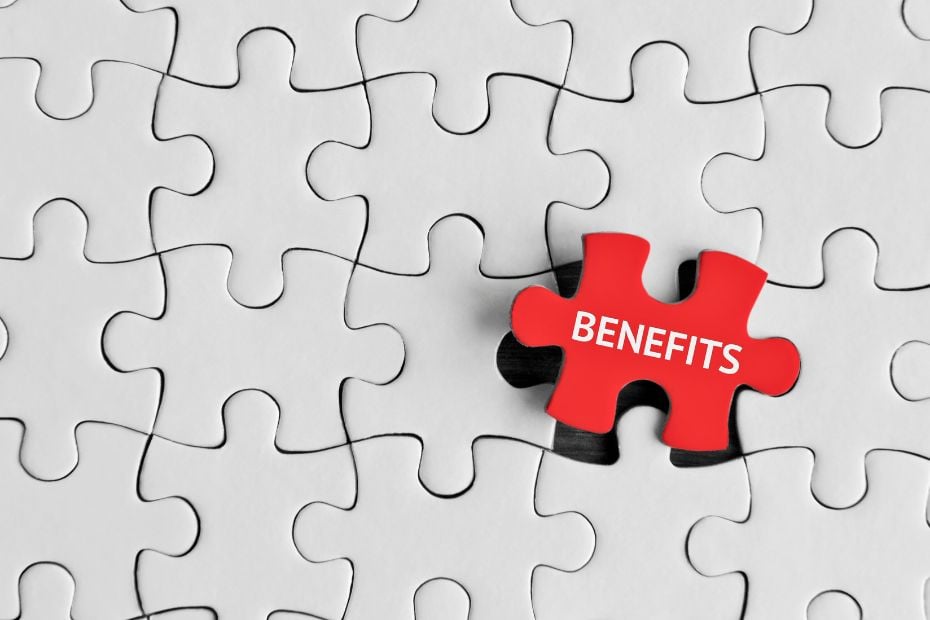 Benefits Puzzle Piece