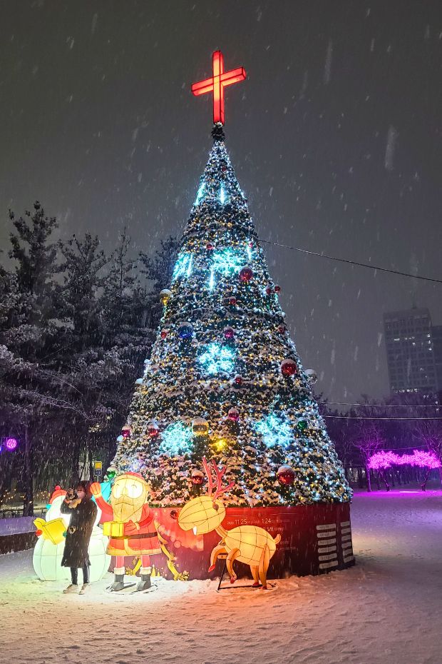 Christmas Tree In Korea