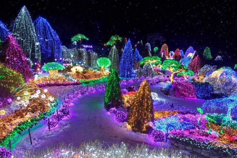 Winter Lighting festival in Korea
