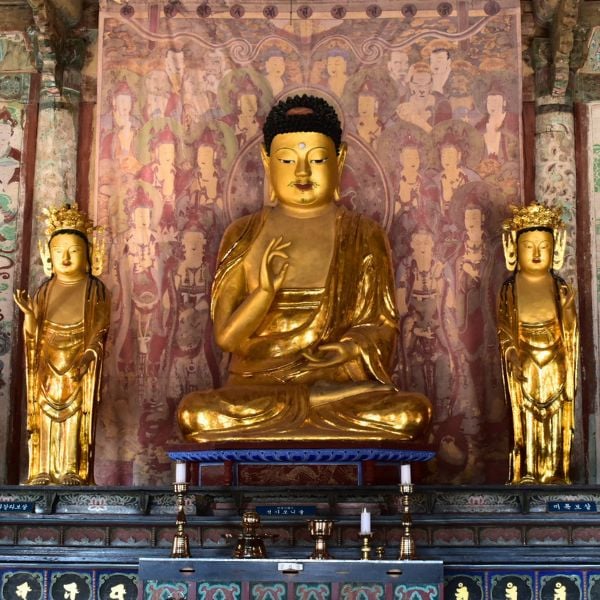 Golden Buddha Statues inside a temple