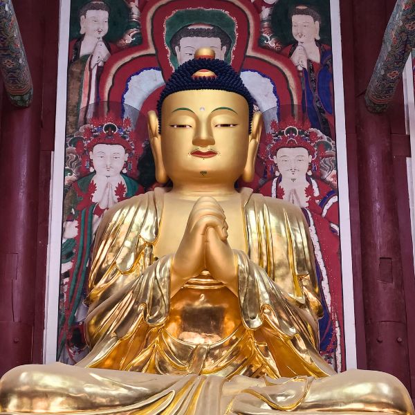 Golden Buddha statue meditating