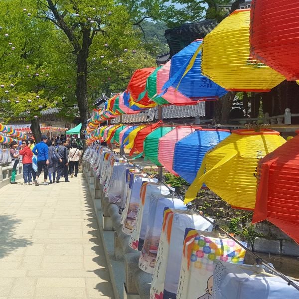 Lanterns on display at Magoksa Temple