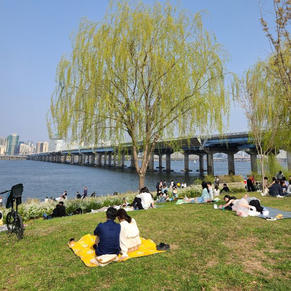 People At A Han River Park Seoul