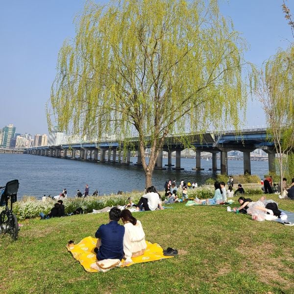 Picnic by the Han River in Yeouido