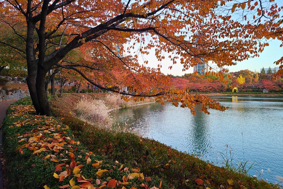 Seokchon lake during autumn in Korea