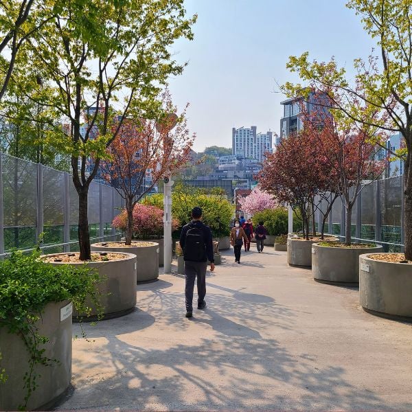 Seollo 7017 walkway in Seoul