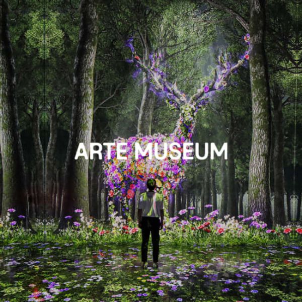 ARTE Museum in Gangneung