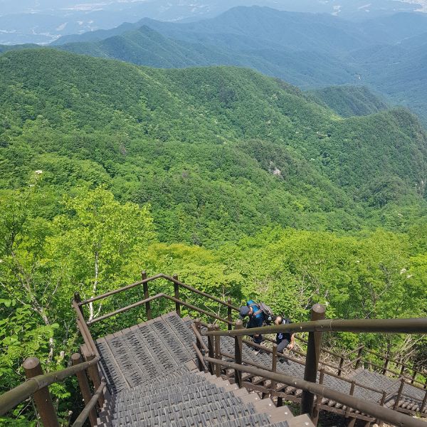 Steep steps and green valleys below
