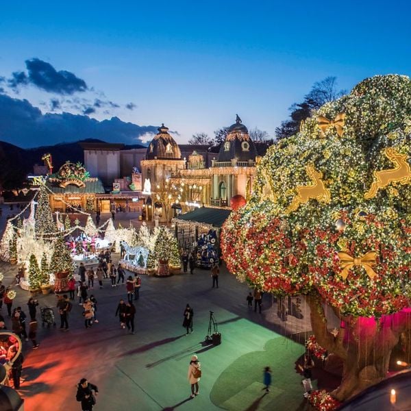 Everland Theme Park In Korea