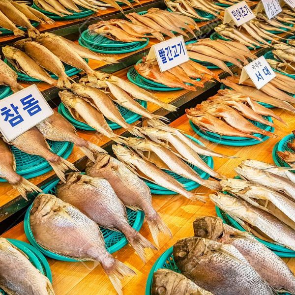 Fish for sale in Jagalchi Fish Market