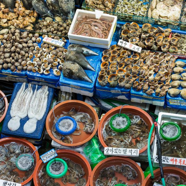 Noryangjin Fish Wholesale Market in Seoul