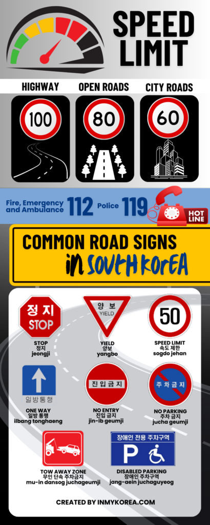 Driving in Korea Infographics