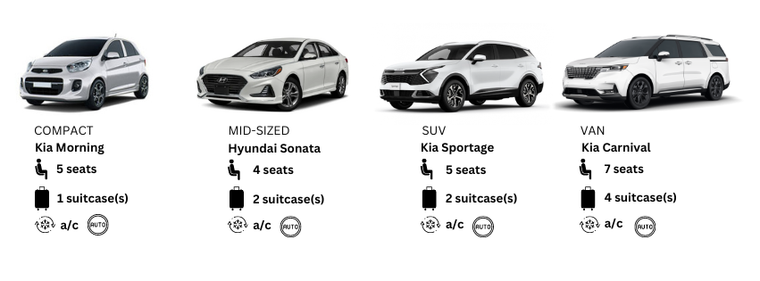 Korean car rental types