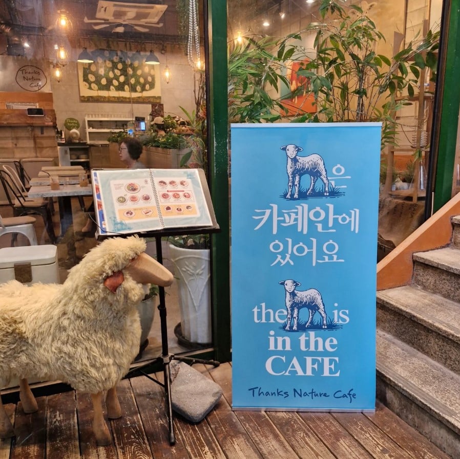 20 Best Cafés in Seoul You Should Visit in 2025 2 thanks nature cafe restaurant1